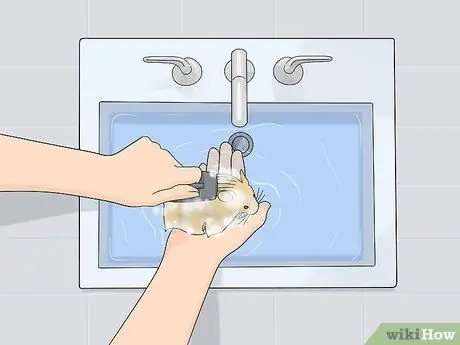 Уход за длинношерстным хомяком Шаг 7