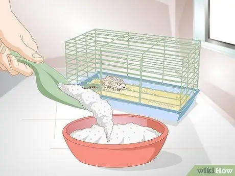 Очистите длинношерстного хомяка Шаг 2