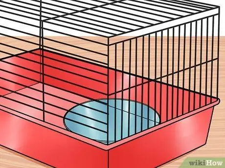 Уход за сирийским хомяком Шаг 11
