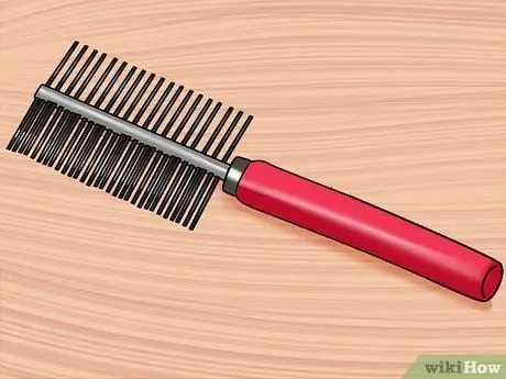 Уход за сирийским хомяком, шаг 2