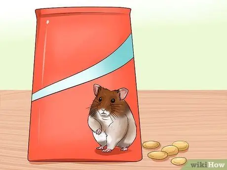 Уход за сирийским хомяком Шаг 3