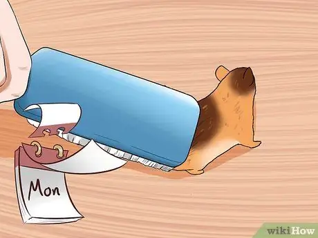 Уход за сирийским хомяком Шаг 7