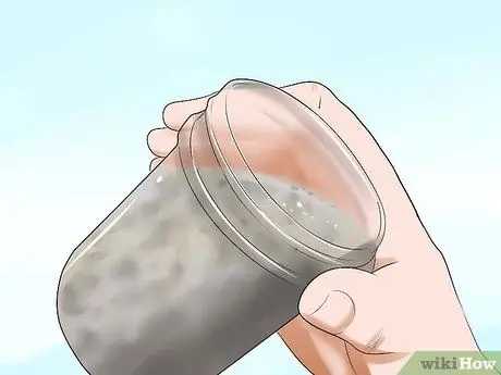 Уход за сирийским хомяком Шаг 9