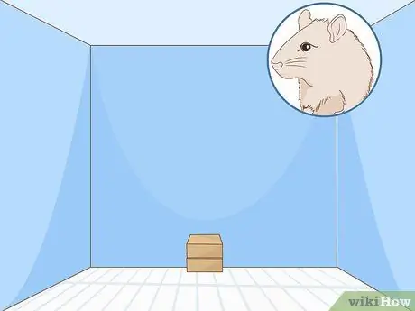 Постройте лабиринт с хомяком, шаг 1