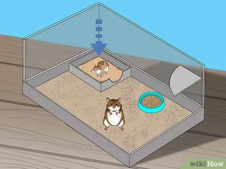 Сделайте ящик для мусора для хомяка Шаг 7