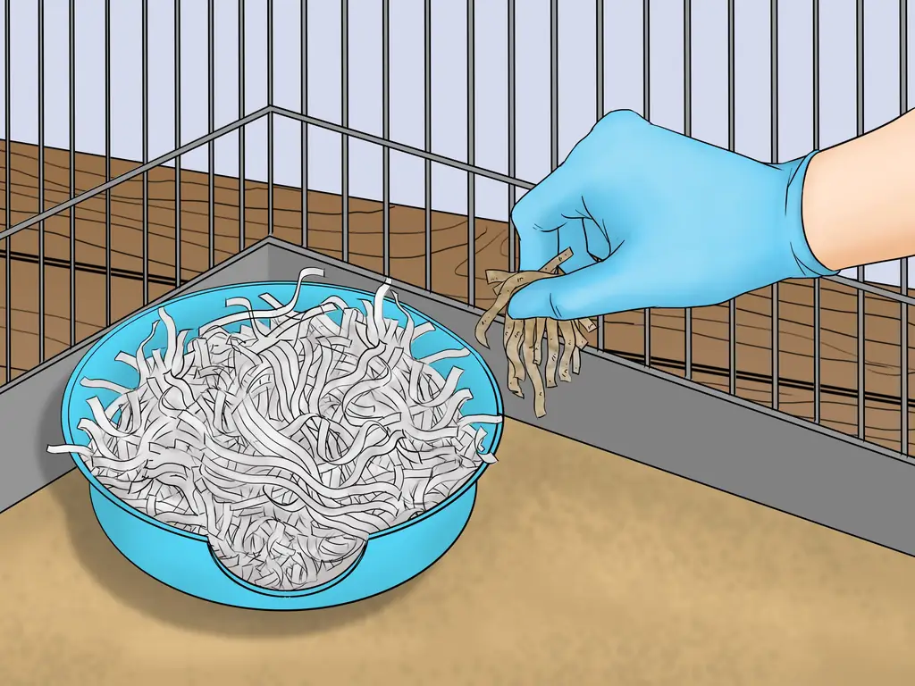 Три способа сделать ящик для туалета для хомяка