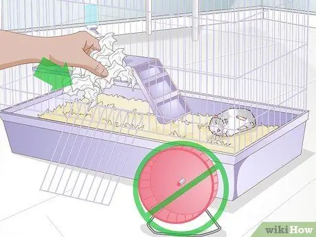 Уход за мамой-хомяком и ее младенцами, шаг 1