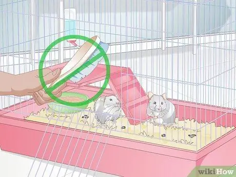 Уход за мамой-хомяком и ее младенцами Шаг 10