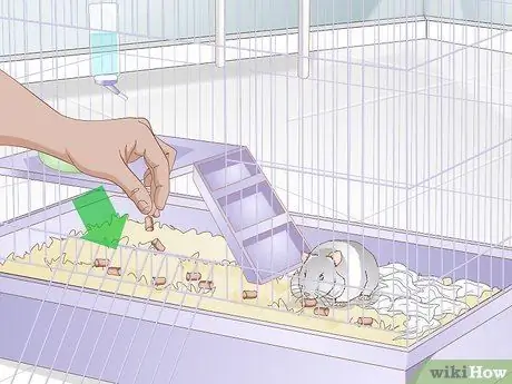 Уход за мамой-хомяком и ее младенцами, шаг 2