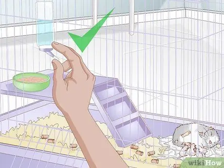 Уход за мамой-хомяком и ее младенцами, шаг 3