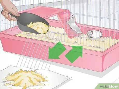 Уход за мамой-хомяком и ее младенцами Шаг 9