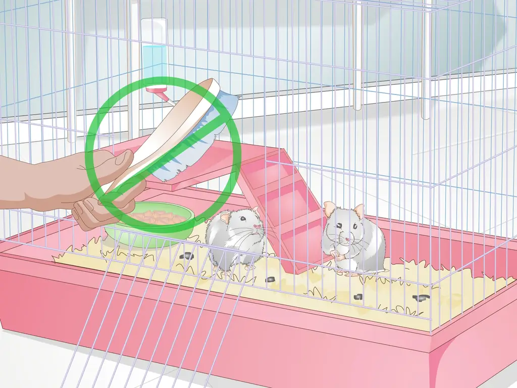 Как ухаживать за мамой-хомяком и ее малышами: 10 шагов
