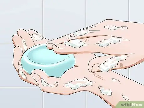 Уход за кусающимся хомяком Шаг 1