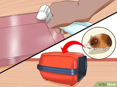Уход за кусающимся хомяком Шаг 3