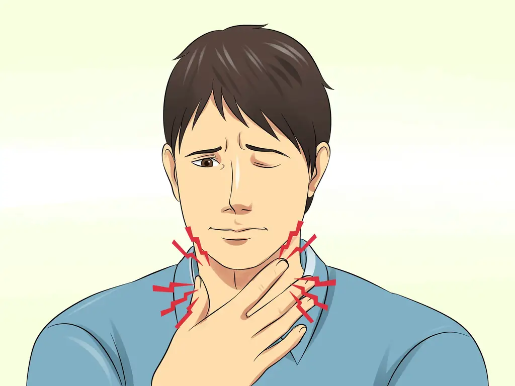 3 способа ухаживать за кусающимся хомяком