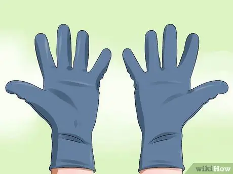 Приучите хомяка не кусаться Шаг 1