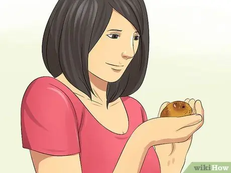 Приучите хомяка не кусаться Шаг 10