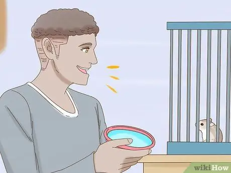 Приучите карликового хомяка узнавать свое имя Шаг 11