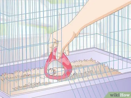 Разберитесь с подлым хомяком Шаг 10