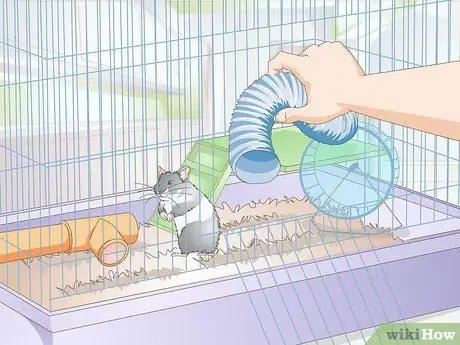 Разобраться со злым хомяком Шаг 11