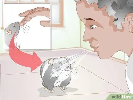 Разобраться с подлым хомяком Шаг 13