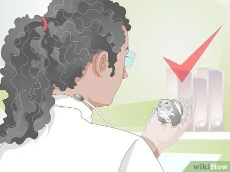 Разобраться с подлым хомяком Шаг 16