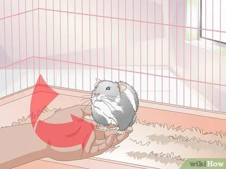 Разобраться со злым хомяком, шаг 3