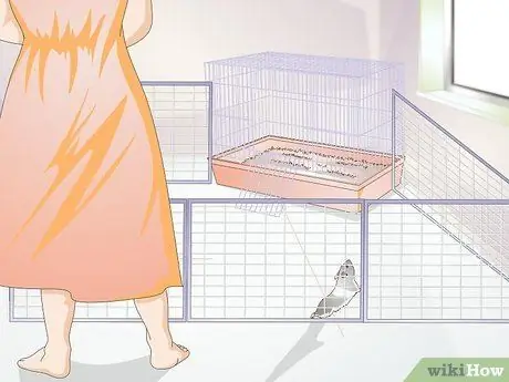 Разобраться со злым хомяком Шаг 4