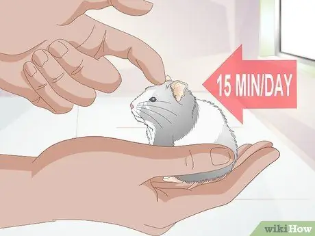 Разобраться с подлым хомяком Шаг 6