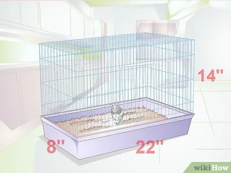 Разобраться со злым хомяком Шаг 9