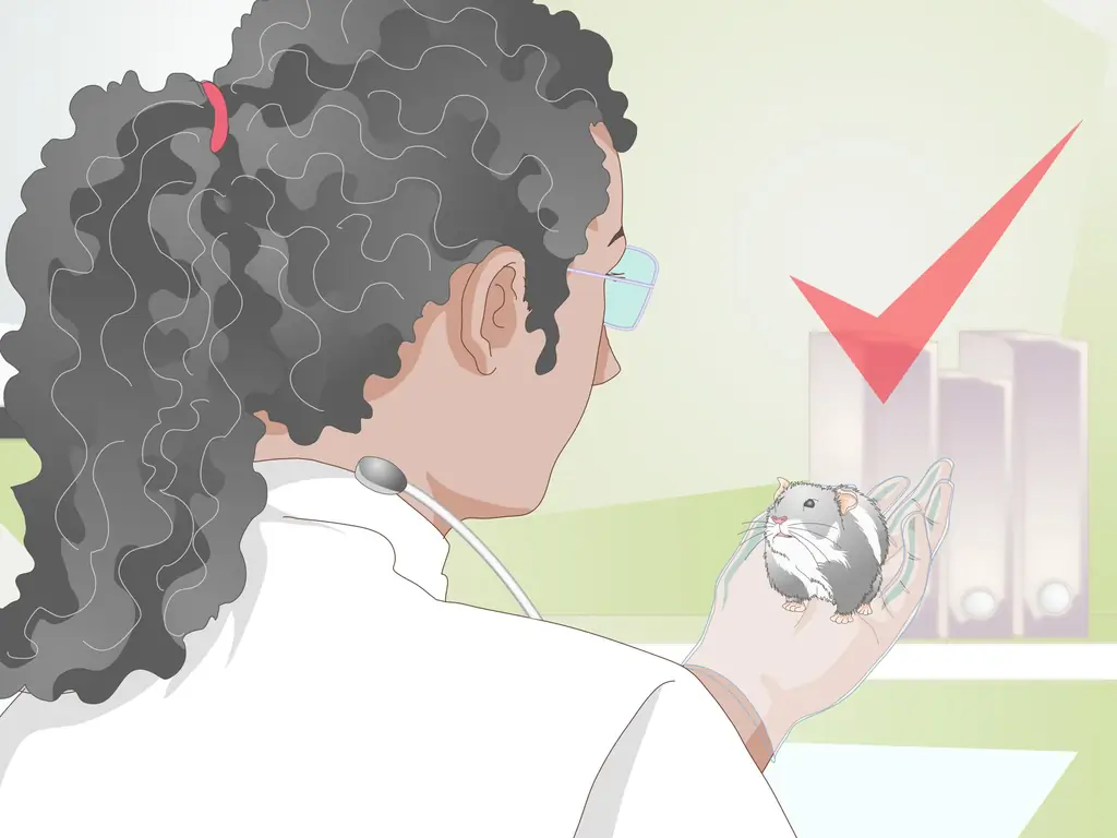 3 способа справиться с подлым хомяком