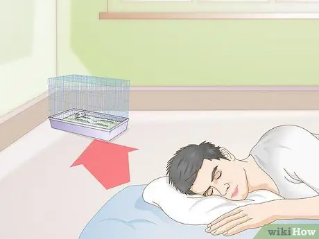 Усыпить хомяка Шаг 8