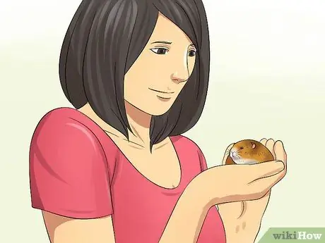 Держи сирийского хомяка, шаг 7