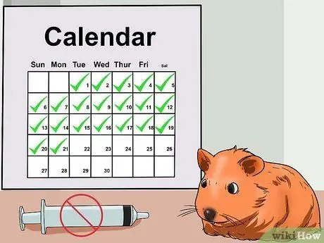 Приготовить корм для маленького хомяка, шаг 3