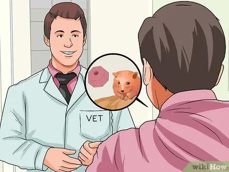 Приготовить корм для хомяка, шаг 9