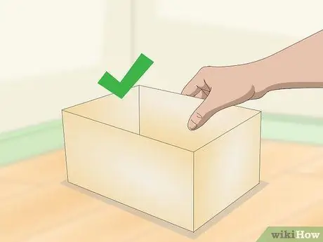 Поймать сцинка с синим хвостом. Шаг 15