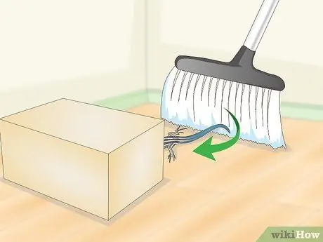 Поймать синехвостого сцинка. Шаг 18