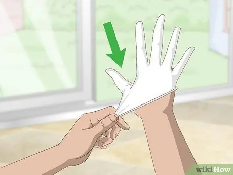 Поймать синехвостого сцинка. Шаг 3