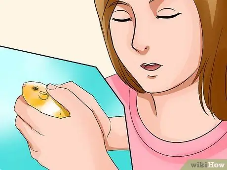 Возьми своего хомяка Шаг 17