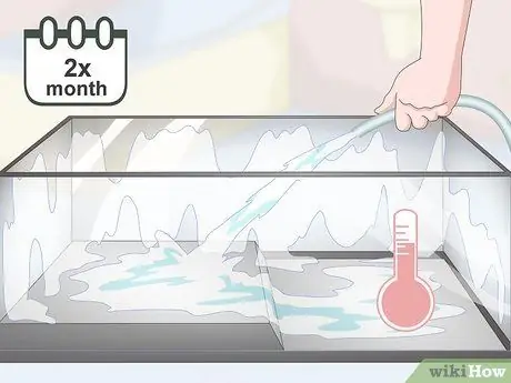 Уход за полосатой болотной лягушкой Шаг 10