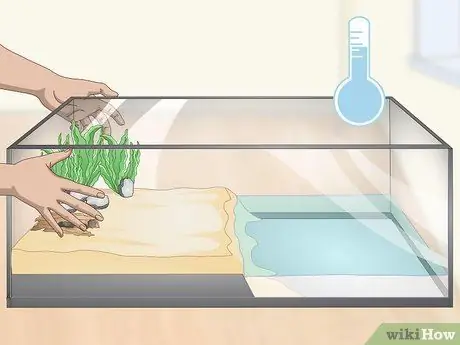 Уход за полосатой болотной лягушкой Шаг 6