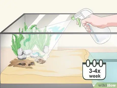 Уход за полосатой болотной лягушкой Шаг 9