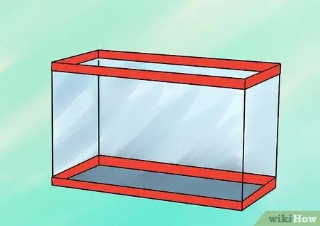 Порода гуппи Шаг 2