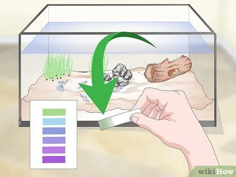 Сохраняйте здоровье гуппи Шаг 10