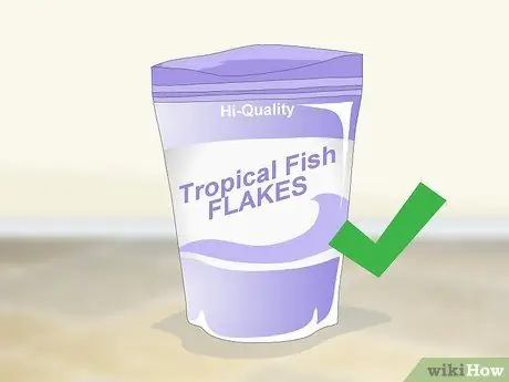 Сохраняйте здоровье гуппи, шаг 5