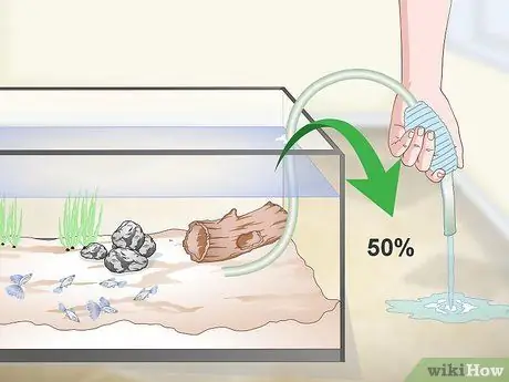 Сохраняйте здоровье гуппи Шаг 8