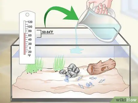 Сохраняйте здоровье гуппи Шаг 9