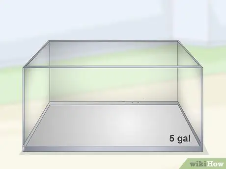 Держите и разводите причудливых гуппи, шаг 5