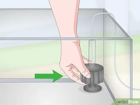 Держите и разводите модных гуппи Шаг 6