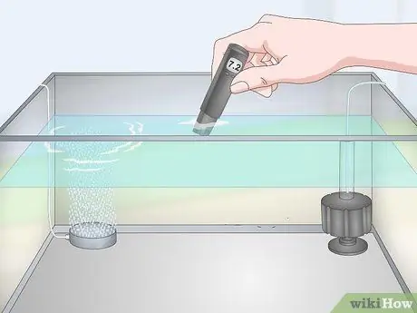 Держите и разводите модных гуппи Шаг 9